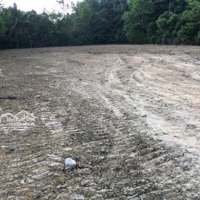 Bán Gấp Lô Đấtmặt Tiềnđường Nhựa Kp Gia Huỳnh, Gia Lộc, Trảng Bàng, 34X60M, 300M Thổ Cư, 260 Triệu/M Ngang