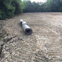 Bán Gấp Lô Đấtmặt Tiềnđường Nhựa Kp Gia Huỳnh, Gia Lộc, Trảng Bàng, 34X60M, 300M Thổ Cư, 260 Triệu/M Ngang