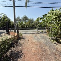 Bán Đất Kênh Thằng Chỏng Trương Văn Đa, Bình Lợi, Bình Chánh, Hcm Giá Ưu Đãi, 10000M2