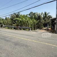Bán Đất Kênh Thằng Chỏng Trương Văn Đa, Bình Lợi, Bình Chánh, Hcm Giá Ưu Đãi, 10000M2