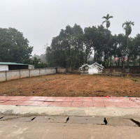 Bán Lô 527M2 Lô Góc 2 Mặt Đường Có Vỉa Hè Thuận Tiện Đi Lại Kinh Doanh Buôn Bán