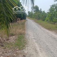 Bán Đất Mặt Tiền Đường Kênh 11 Xã Lê Minh Xuân, Bình Chánh, Cách Đường Võ Hữu Lợi 400M, 1000M2
