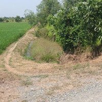 Bán Đất Mặt Tiền Đường Kênh 11 Xã Lê Minh Xuân, Bình Chánh, Cách Đường Võ Hữu Lợi 400M, 1000M2