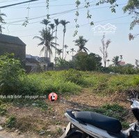 Siêu Phẩm Mặt Đường Hoà Nghĩa, Dương Kinh