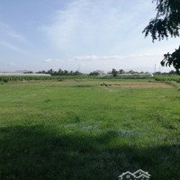 Bán Đất Hnk Chính Chủ Tại Phước Thiện 3, Xã Phước Sơn, Huyện Ninh Phước