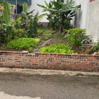 105M2 Full Thổ Cư Tại Thanh Trù - Tp Vĩnh Yên - Vĩnh Phúc.
- Giá Đầu Tư Chỉ 1, Xx Tỷ
