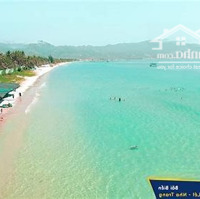 Bán Lô Cặp Đất Biển Dốc Lết-Khu Nhà Nước Đấu Giá Bá Hà 2, Đối Diện Biệt Thự Cách Biển Vài Bước Chân