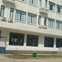 Xưởng Bán Trong Kcn Vsip2 Bình Dương, Diện Tích 23.000M2 Đầy Đủ Công Năng