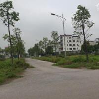 Bán 277m2 đất biệt thự lô góc chính A1.1 Thanh Hà Cienco 5