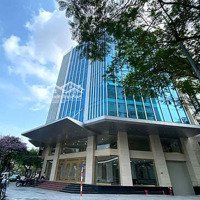 Bán Tòa Văn Phòng Thanh Xuân, 120M2, 8T,Mặt Tiền22M, Pccc, Gpxd, Hoàn Công, Dòng Tiền 1.2 Tỷ/Năm