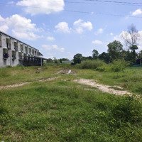 Bán Đất Lộc Thạnh, Lộc Giang, Đức Hòa, Long An.diện Tíchgần 2,3 Mẫu, Có Thổ Cư. Giá Bán 17.5 Tỷ Tl