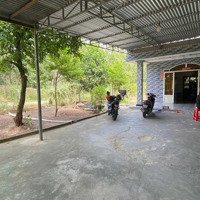 Ngộp Bank Bán Nhà Cấp 4 + Đất 362M2 Thổ Cư Mặt Tiền Đường Nhựa 30M - Ngay Kcn Thạnh Đức - Sổ Riêng
