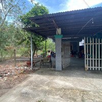 Ngộp Bank Bán Nhà Cấp 4 + Đất 362M2 Thổ Cư Mặt Tiền Đường Nhựa 30M - Ngay Kcn Thạnh Đức - Sổ Riêng