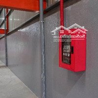 Bán Nhà Xưởng 1700.2 ( 21,2 X 80,2) Có 1303,6M2 Thổ - An Phú Đông, Quận 12 - 59,8 Tỷ Tl