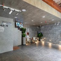 Cho Thuê Mbvp Mới Xây 100% (8X6) Gần Cầu Lê Văn Sỹ Thiết Kế Kiểu Pháp