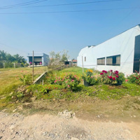 Bán Đất Gần Chợ Tân Phú Trung, Diện Tích 219M2 Full Thổ, Sổ Hồng Riêng