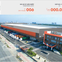 Cho Thuê Kho Diện Tích Lớn 30.000 M2 Tại Khu Công Nghệ Cao Quận 9, Tp. Hcm