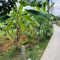 Cần Tiền Bán Gấp Đất Mặt Tiền Gần Chợ Tam Long, Thị Xã Cai Lậy