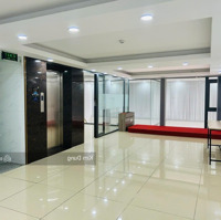 Nhà Mặt Tiền Khu Tân Định 7X20M Hầm Trệt 4 Lầu Cho Thuê