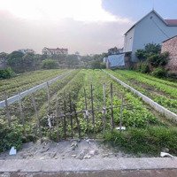 Chủ Nhà Cần Tiền Muốn Bán Nhanh Xã Dạ Trạch, Khoái Châu, Hưng Yên