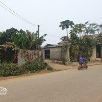 Chính Chủ Bán 181M2 Ô Góc Full Thổ Cư Mặt Đường Yên Thái, Xã Đông Yên, Huyện Quốc Oai, Hà Nội