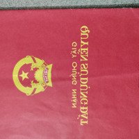 Đất Vườn Măng Cục 1749M2 Có 300 Thổ Cư. Hai Mặt Tiền An Sơn 02 Dài 30M An Sơn 38 Dài 60M