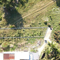 Bán Nhanh Lô Đất Đắc Lộc, Vĩnh Phương, Tp. Nha Trang 196M2 Chỉ 750 Triệu