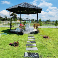 Bán Nhà Bảo Lộc - 700M2 Nhà Vườn Nghỉ Dưỡng Full Nội Thất Ngay Trung Tâm Bảo Lộc 3Tỷ380