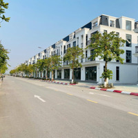 Tổng Hợp Tất Cả Các Căn Nhà Vườn Liền Kề Hud Mê Linh Central Tháng 3/2025. Liên Hệ Xem Thực Tế