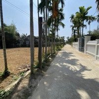 125M2 Ngay Đối Diện Chợ Bà Rén Chạy Vào