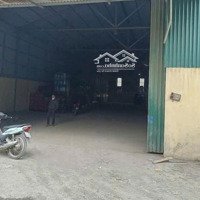 Cho Thuê Kho Xưởng 600M2, 1000M2 Tại Kiêu Kỵ, Gia Lâm, Giá Ưu Đãi, Liên Hệ: 0984393101
