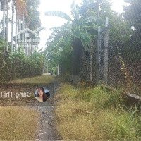 Đất Xây Trọ Gần Kcn Phước Đông 11*46M 100 Thổ Cư Chỉ 2 Tỷ