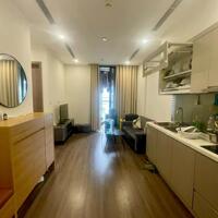 Cho thuê căn hộ tại Vinhomes  Symphony Riverside 40m2 full đồ 1pn 1vs giá chỉ 12 triệu