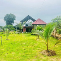 Cần Bán Nhà Vườn Xã Hoà Hội Xuyên Mộc Diện Tích 1447M2 Có Sẵn Nhà Và Vườn Giá Rẻ