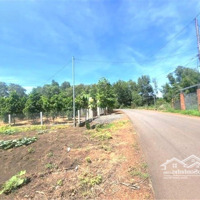 Đất Đẹp 5X50=250M2 Mặt Tiền Nhựa Sẵn 100M2 Thổ Cư Lai Uyên Bàu Bàng Bình Dương