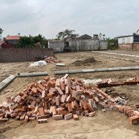 Bán Đất 304, Quang Hưng, An Lão, Hải Phòng, 485 Triệu, 65M2 Chính Chủ Uy Tín