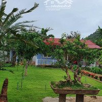 Bán Lô Đất Kèm Nhà Đường Nguyễn Xiển, Thôn Liên Thành, Vĩnh Phương, Nha Trang - 1.000M2 Giá Bán 5,2 Tỷ