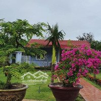 Bán Lô Đất Kèm Nhà Đường Nguyễn Xiển, Thôn Liên Thành, Vĩnh Phương, Nha Trang - 1.000M2 Giá Bán 5,2 Tỷ