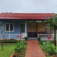 Bán Lô Đất Kèm Nhà Đường Nguyễn Xiển, Thôn Liên Thành, Vĩnh Phương, Nha Trang - 1.000M2 Giá Bán 5,2 Tỷ