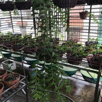 Đô Thị Vũ Phúc Khu A - Hướng Đông Nam
