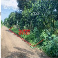 3047M2, Có Sổ Hồng, Đất Trồng Cây Lâu Năm, Chuyển Thổ Cư Dễ Dàng, Mặt Tiền 16M