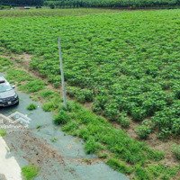 Chủ Đi Định Cư Nước Ngoài Nên Bán Gấp Ở Minh Thành