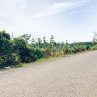 Bán 2 Sào 50X45=2250M2 Mặt Tiền Nhựa Gần Khu Công Nghiệp Đông Hòa Dĩ An Bình Dương Giá Đúng 1,92 Tỷ