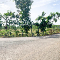 Bán 2 Sào 50X45=2250M2 Mặt Tiền Nhựa Gần Khu Công Nghiệp Đông Hòa Dĩ An Bình Dương Giá Đúng 1,92 Tỷ