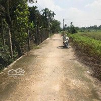 Bán Đất Đường 156 Bình Mỹ Củ Chi, 5.5X16.7M, 86M2 Full Thổ Cư, Ra Cầu Rạch Tra 600M, Về Q12 Rất Gần