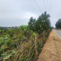 Bán Đất Tại Long Thượng, Phúc Thọ, Hà Nội, 1 Tỷ, 1000 M2, Giá Tốt