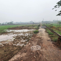 Bán Đất Tại Long Thượng, Phúc Thọ, Hà Nội, 1 Tỷ, 1000 M2, Giá Tốt