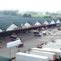 Bán Đất Đường Ngô Chí Quốc, Phường Bình Chiểu Thủ Đức Diện Tích 1406M2
