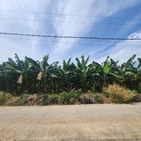 Bán Đất Vườn Nghỉ Dưỡng Hơn 1000M2 Giá Chỉ 890 Triệu Định Quán, Đồng Nai