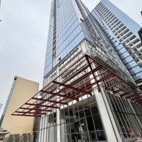 Tư Vấn Chuyên Sâu The Ninety Complex 90 Đường Láng, Với Nhiều Lựa Chọn Quỹ Căn Đẹp & Giá Ưu Đãi